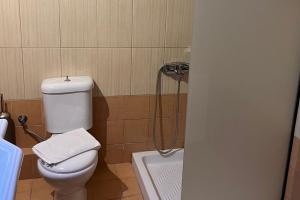 Koupelna v ubytování Guesthouse Teloni