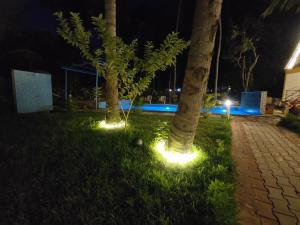 Zahrada ubytování PV Cottages - Serenity Beach
