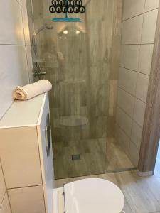 a bathroom with a shower and a toilet at Pensjonat Plaża 2 in Rowy +10 photos