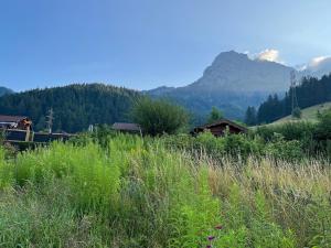 a field of tall grass with a mountain in the background at Family Friendly Mountain House in Eisenerz