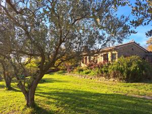 Zahrada ubytování House in Istria in pristine nature