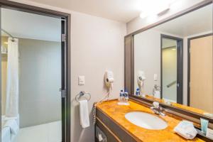 Koupelna v ubytování Hotel Lucerna Ciudad Juarez