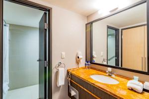 Koupelna v ubytování Hotel Lucerna Ciudad Juarez