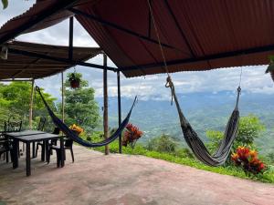 Příroda nedaleko prázdninového domu