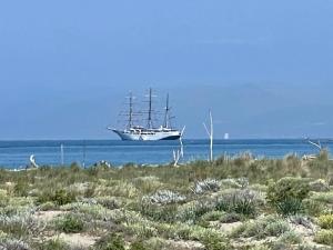 a large ship in the ocean with a field at Lovely Versilia in Torre del Lago Puccini +2 photos