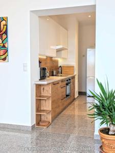 Kuchyňa alebo kuchynka v ubytovaní ClearVueHome Apartments Bratislava Slavin