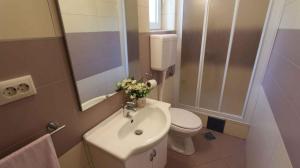 Et badeværelse på Apartment in Malinska 40 + 18 billeder