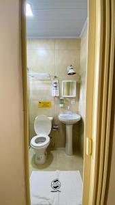 a small bathroom with a toilet and a sink at Pousada Mama África in Conservatória +37 photos