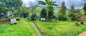 a yard with two white benches in the grass at Paraíso Serendipia in Roldanillo
