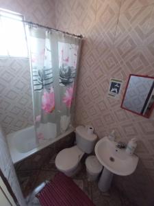 een badkamer met toilet en wastafel bij Hospedaje Pensión Ely Habitación doble in Temuco