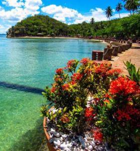 Una fila de flores en una playa junto al agua en Casa de praia VIP madre de Deus espaço inteiro térreo, en Madre de Deus