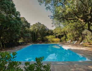 a swimming pool in a yard with trees at Mas exceptionnel à Lagnes, Provence in Lagnes