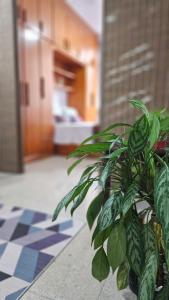 Kuchyň nebo kuchyňský kout v ubytování Copacabana Beach Studio