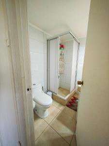 a bathroom with a toilet and a walk in shower at Ocean Front House 84 in Viña del Mar +18 photos