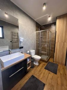 Un baño con lavabo, inodoro y ducha. en Котедж “Гуркало", en Korchin
