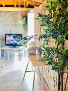 a living room with a potted plant and a table at Pedacinho do Céu in Vieira do Minho