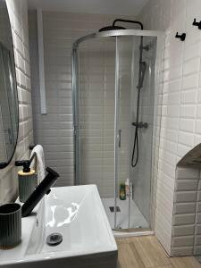 a bathroom with a shower and a white sink at Apartamento Puente de Piedra Logroño in Logroño