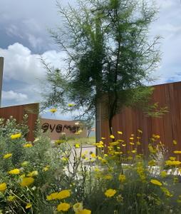 Zahrada ubytování Condominios Evamar San Carlos