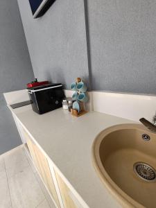 a bathroom counter with a sink and a microwave at Villa Ivano in Petrcane