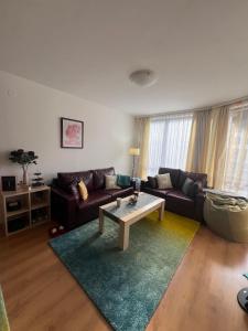 ein Wohnzimmer mit einer Couch und einem Couchtisch in der Unterkunft Bansko Aspen Relax & Chill in Bansko