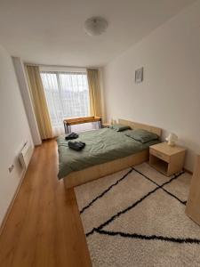 ein Schlafzimmer mit einem Bett und einem großen Fenster in der Unterkunft Bansko Aspen Relax & Chill in Bansko + 28 Fotos