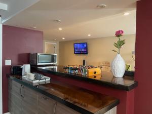 a kitchen with a counter with a vase of flowers on it at Welcome to Shibly's Retreat in Edmonton