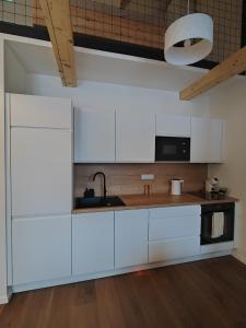 Kuchyň nebo kuchyňský kout v ubytování Apartmán Na Běžkách