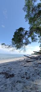 Φυσικό τοπίο κοντά σε οργανωμένο κάμπινγκ