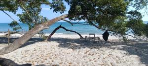 Φυσικό τοπίο κοντά σε οργανωμένο κάμπινγκ