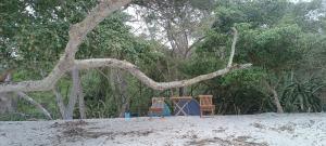 Φυσικό τοπίο κοντά σε οργανωμένο κάμπινγκ +9 φωτογραφίες