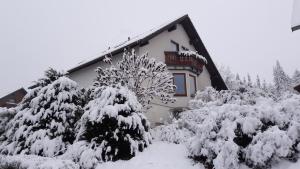 Το Ferienwohnnung Ruth - Familienurlaub im Erzgebirge τον χειμώνα +7 φωτογραφίες