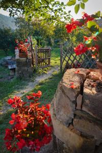 Zahrada ubytování House in Istria in pristine nature