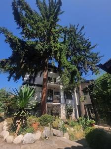 a house with a palm tree in front of it at Dvata Smurcha Central Apartments - Free Parking in Bansko