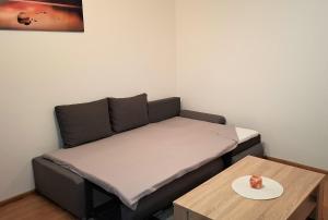 Posedenie v ubytovaní Karki music apartment