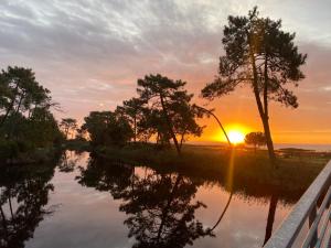 レージュ・キャップ・フェレにあるUn toit sur le bassin les viviersのギャラリーの写真 +9枚の写真