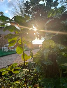 Gallery image of Garden Beach Bungalows in Ko Lanta