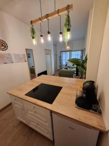 Kuchnia lub aneks kuchenny w obiekcie Studio La Casa De Planel Gare Saint Roch