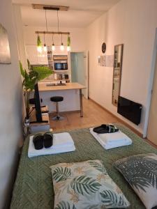 Kuchnia lub aneks kuchenny w obiekcie Studio La Casa De Planel Gare Saint Roch