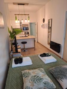 Kuchnia lub aneks kuchenny w obiekcie Studio La Casa De Planel Gare Saint Roch