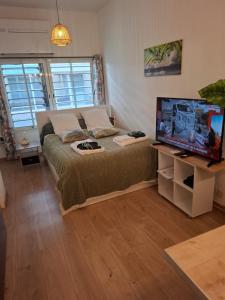 Telewizja i/lub zestaw kina domowego w obiekcie Studio La Casa De Planel Gare Saint Roch