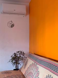 Fotografie z fotogalerie ubytování La Terrasse du Houelmont v destinaci Gourbeyre