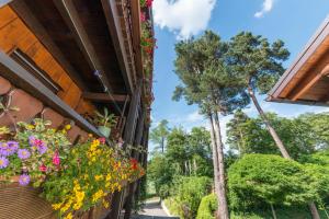 Zahrada ubytování Hotel Waldhof