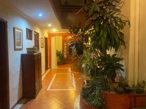 Fotografie z fotogalerie ubytování Posada Todos Santos v destinaci Cuenca