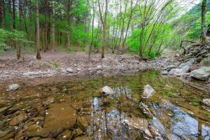 a stream in a forest with rocks and trees at Yangpyeong Sweet Tree Pension in Yangpyeong