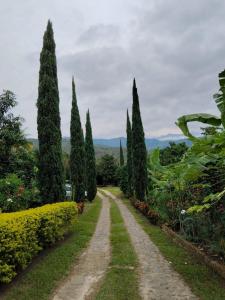 Φωτογραφία από το άλμπουμ του Ecohotel la Floresta σε Ginebra