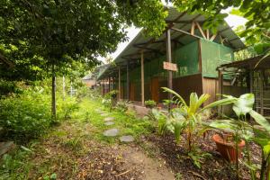 Κήπος έξω από το Green House Tambopata