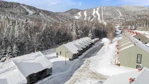 斯托纳姆L'Adirondacks的雪覆盖的村庄,有雪覆盖的山