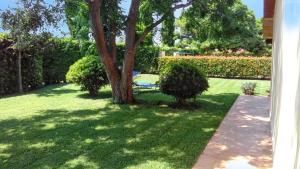 Un jardín fuera de Charming studio in Pescia Romana - 28 m² Terrace