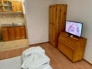 TV a/nebo společenská místnost v ubytování Вила Стряма