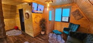 Μια τηλεόραση ή/και κέντρο ψυχαγωγίας στο Camping Merisor-Banita Hunedoara +11 φωτογραφίες